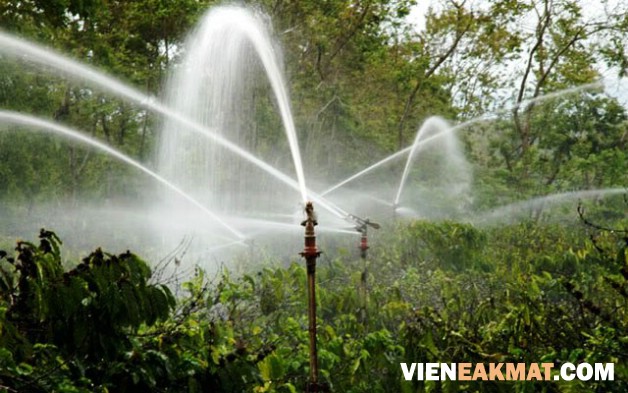 tưới nước tiết kiệm