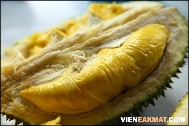 quả sầu riêng ngon