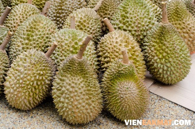 trái sầu riêng ri6